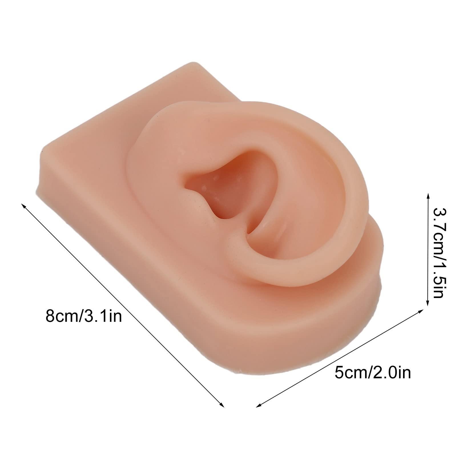 Bannt Fake Ear Model, Easy To Use Right Ear Flexible Silicone Human Ear Model for Earrings Display for Ear Piercing Training Dark Complexion