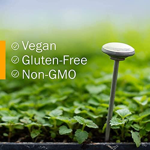 Herb Pharm Herb Pharm Kids Certified-Organic Alcohol-Free Fast Asleep Herbal Formula, 1 Ounce