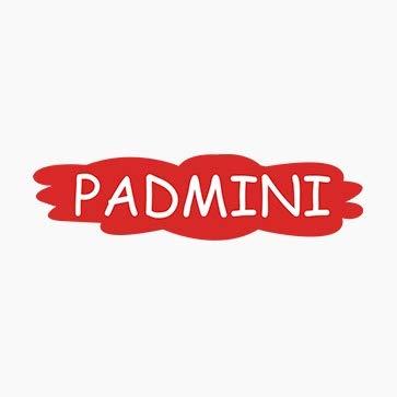 PADMINI (Imli Goli) PADMINI's Tamarind Fruit Balls 500g
