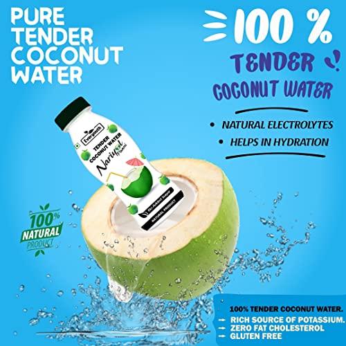 EVERYOUTH EVERYOUTH 100% Tender Coconut Water (Pack of 36, 200 ml each)