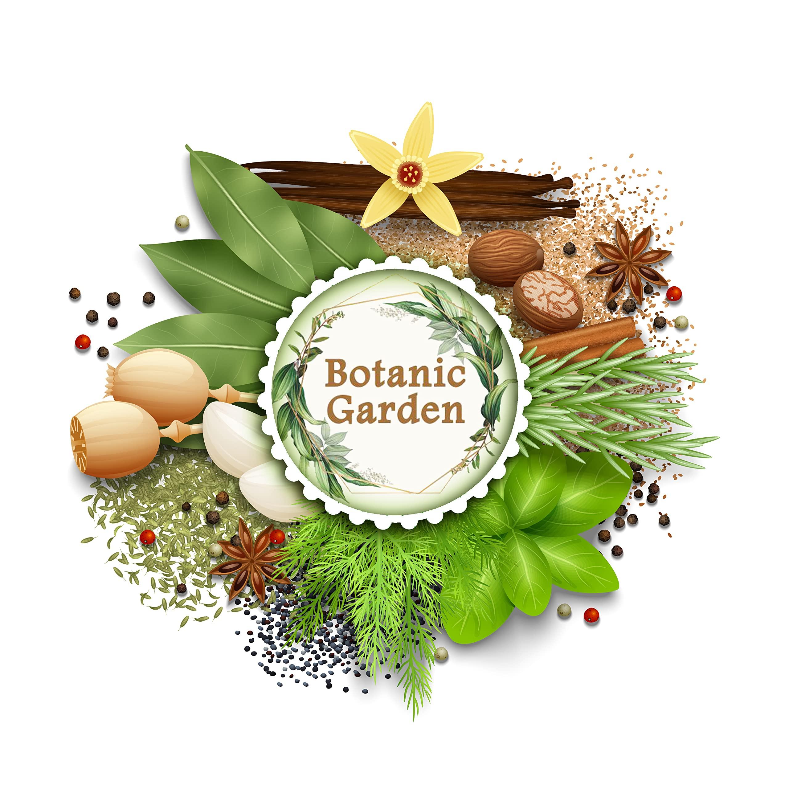 Botanic Garden Botanic Garden Raw Bach Herb | Sweet flag | Calamus | Myrtle grass | Acorus calamus | Vacha - 250g