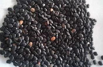 SR Foods SR Foods Special Kala Channa & Black Horse Gram Dal Combo 1Kg( Each 500g ) | Kondai Kadalai | Black Chickpeas | Karuppu Sundal | Kulthi Dal ( Kulatha ) | Kollu Paruppu