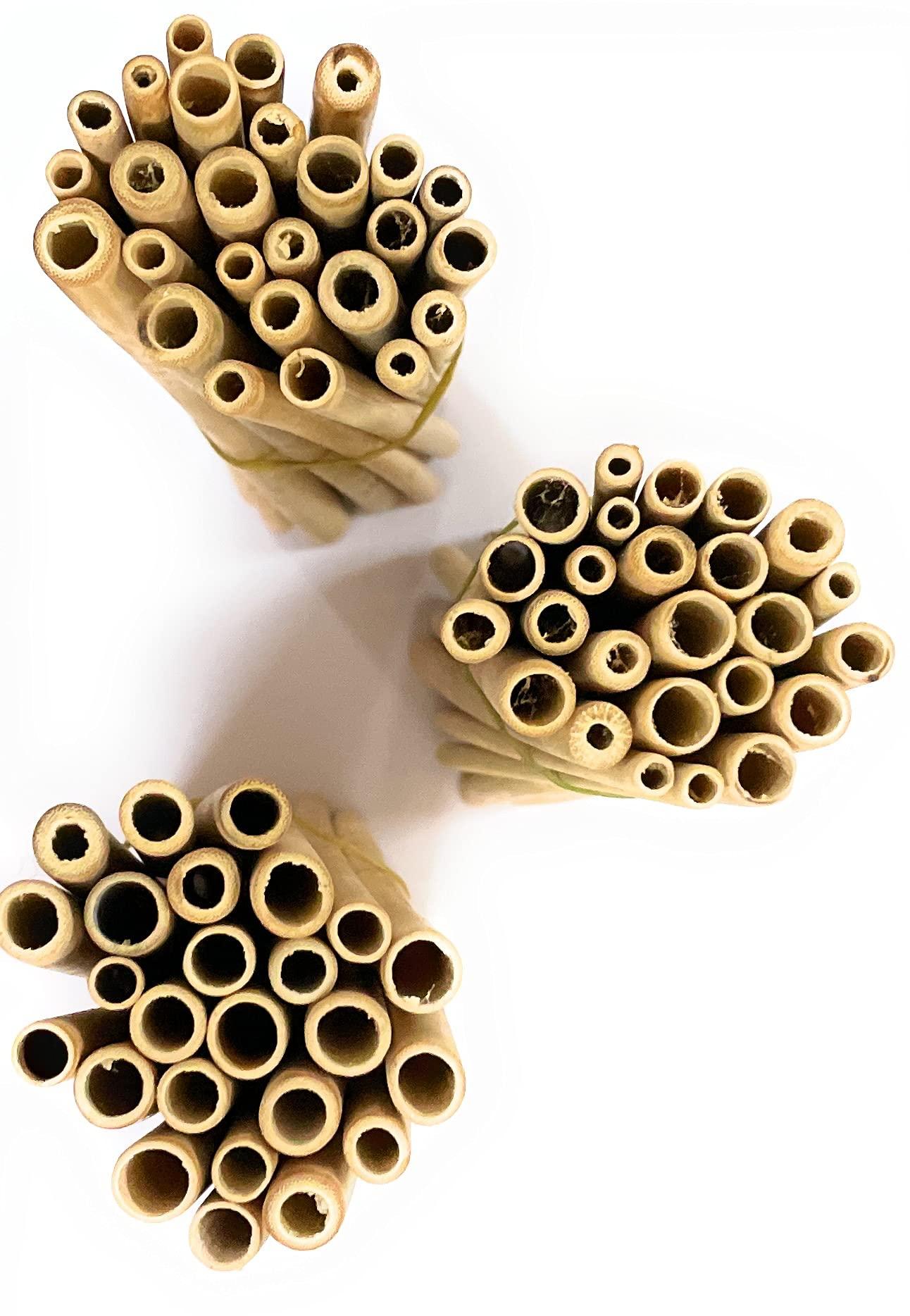 Tugs TUGS Bamboo Grass Straws Export Quality Pack of 50 Natural Eco Friendly Biodegradable Drinking Straws with Straw Cleaning Brush -Reusable. Length 10 Inch (7-12) mm