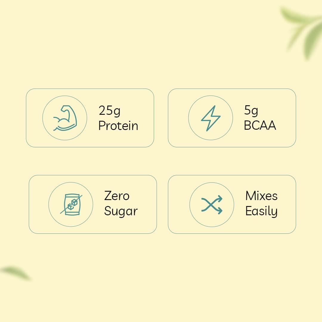 PVL PVL Gold Series Whey Gold Protein Powder Triple Chocolate Brownie Overloaded (1 Lbs)