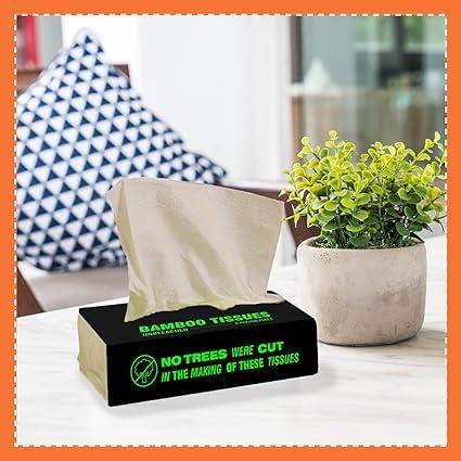 Beco Beco Bamboo Super Soft Facial Tissue 100 Pulls (Pack of 12), 1200 Pulls 2 ply 100% Natural and Ecofriendly