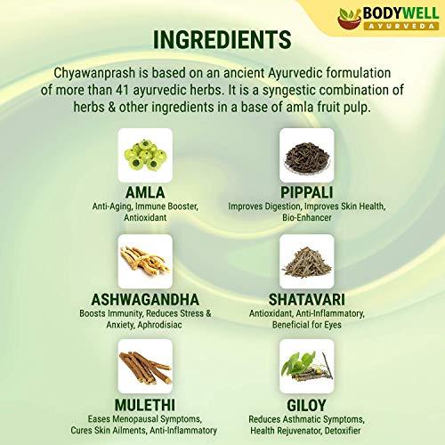 BodyWell BODYWELL Chyawanprash with 40+ Ayurvedic Herbs, Immunity, Energy, Strength, Stamina, Support for all age groups, 600 Grams
