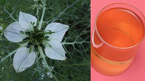 SAARA Saara HERBALFRESH Black Cumin Seeds Powder,101g, Karunjeeragam, Kala Jeeera, Kalonji Seeds, Nigella Seeds Powder, 101g (pack of 1 X 101g)