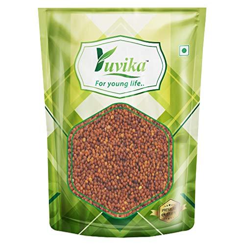 Yuvika YUVIKA Rai Seeds - Red Mustard Seeds (400 Grams)