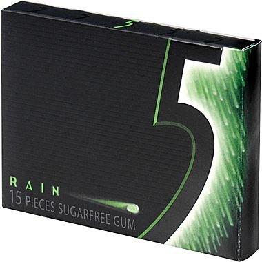 Wrigley's Wrigley's, Rain Spearmint 5 Gum Sugarfree Chewing Gum Pieces Per Package, 15 Count