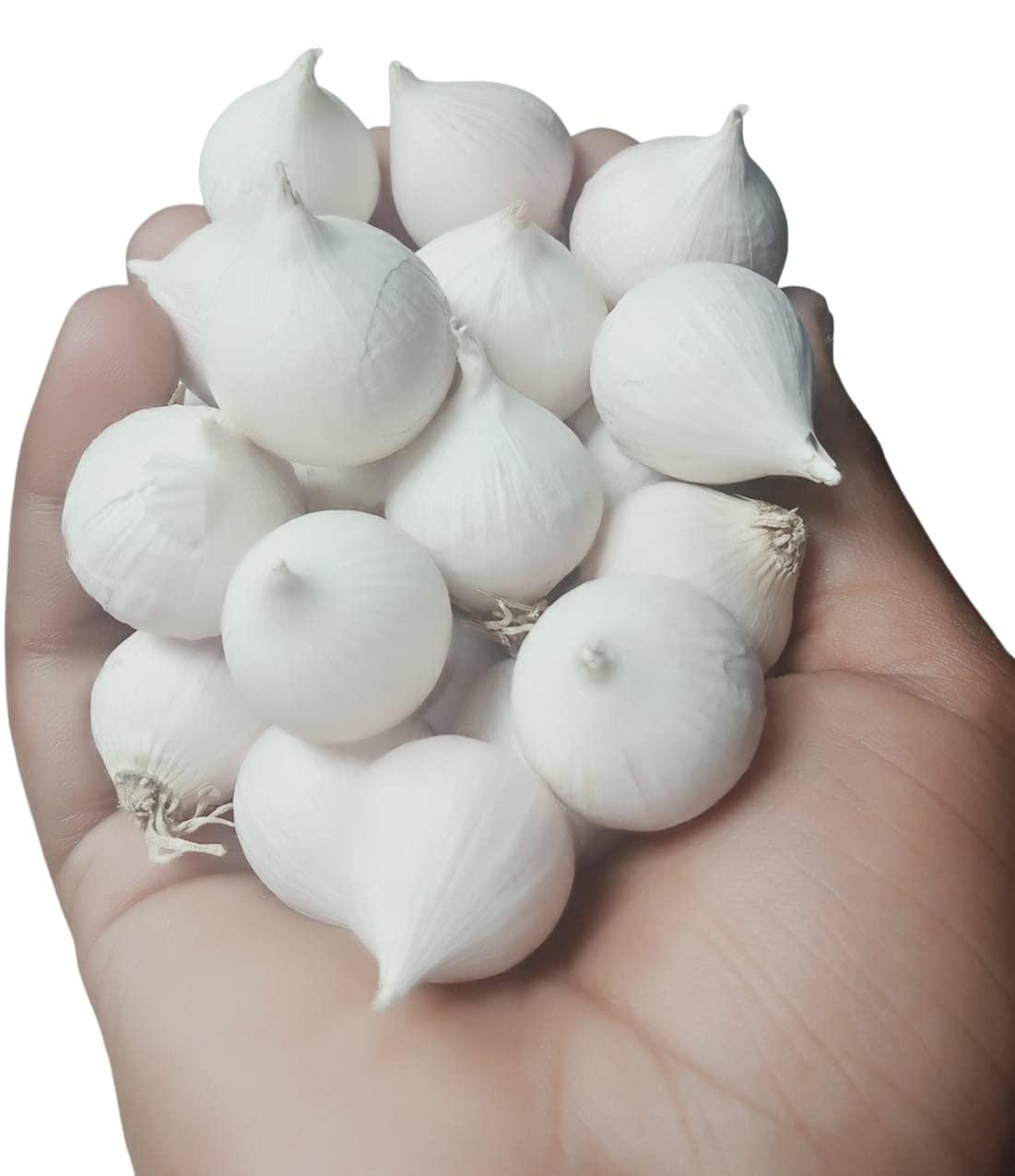 AF NOMAN AF NOMAN Dry Organic Single Clove Garlic Ek Pothi Lahsun Garlic 250 Gm Grade-A Qualilty (Not Hybrid)