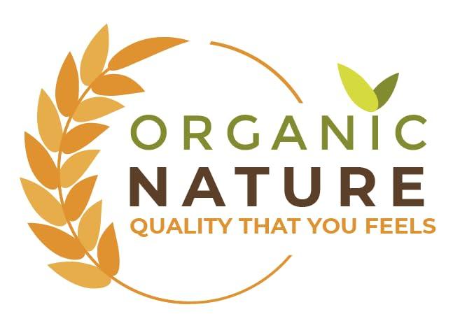 ORGANIC NATURE ORGANIC NATURE Namkeen Ajwain Pachak Churan Churi Mukhwas Carom Seeds for Digestion (pack of 200 gram)