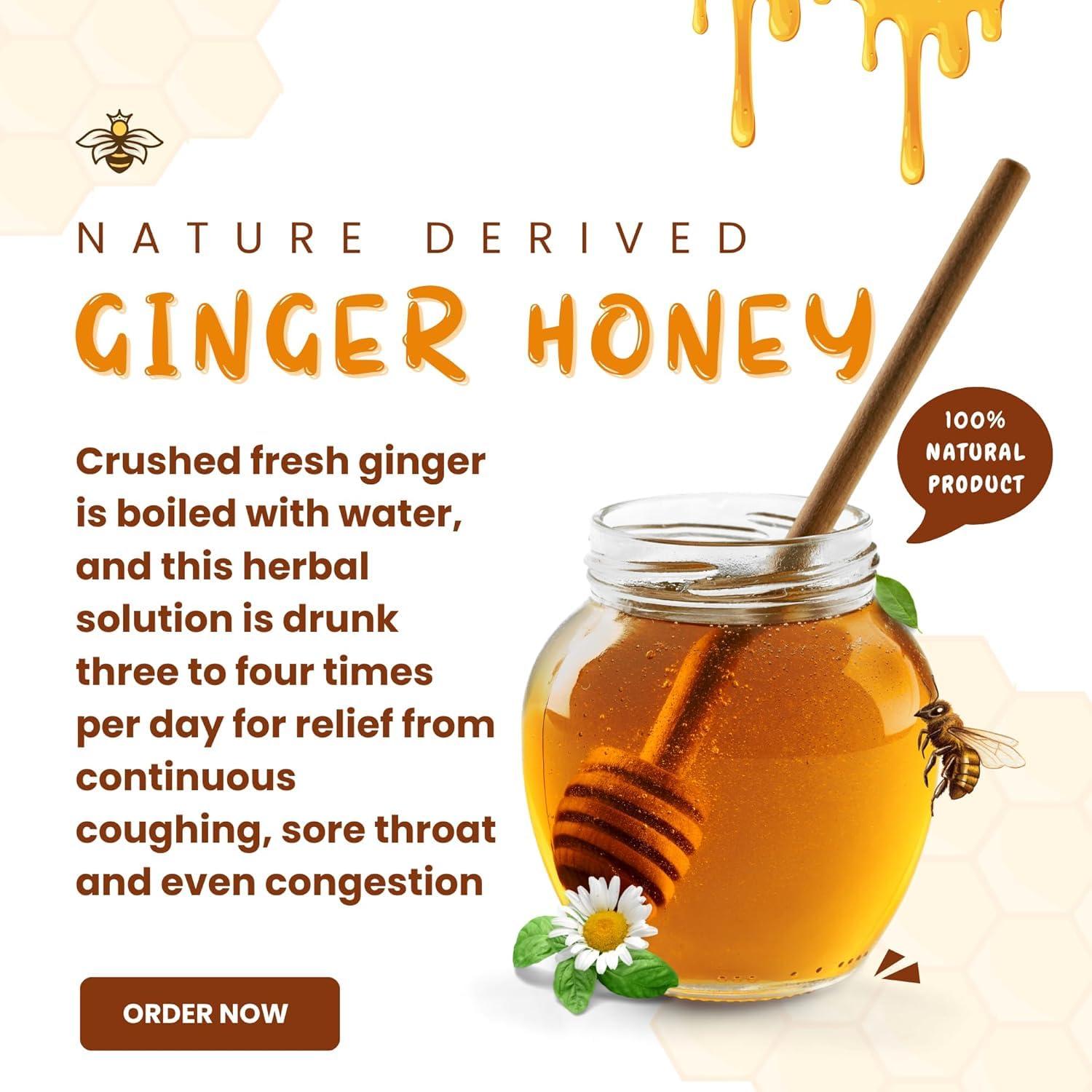 FUTURE ORGANICS –Eat Oragnic! Be Organic!! Future Organics Premium Honey with Ginger - 350 Gram | Delicious Honey Made with 100% Pure, Natural & Organic Ingredients | No Artificial Color | No Added Sugar