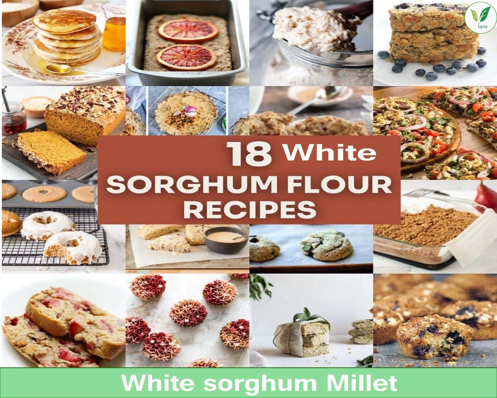 IAgriFarm Iagrifarm White Sorghum - 1 kg - Whole Grain/Cholam | Vella solam | Jowar | Jola | Jonna - High Protein & 100% More Fibre Than Rice