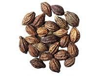 VS Products VS Products Kadukkai Terminalia Chebula Haritaki,50g