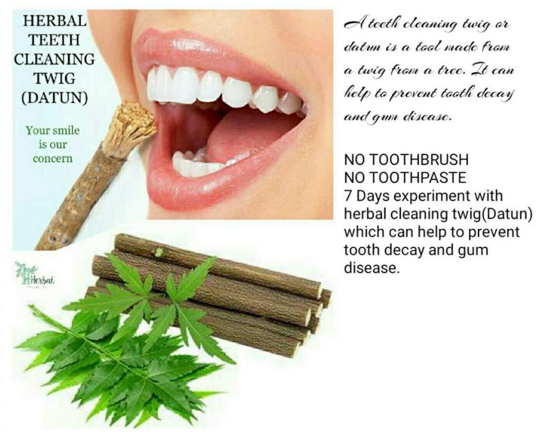 Arvind Arvind Ayurvedic Organic Natural Neem Chew Sticks Datun, Toothbrush for Brushing Teeth, Remove Bad Breath & Gems, Relieve Tooth Ache for Adult - 12cm Each Stick , 50pcs