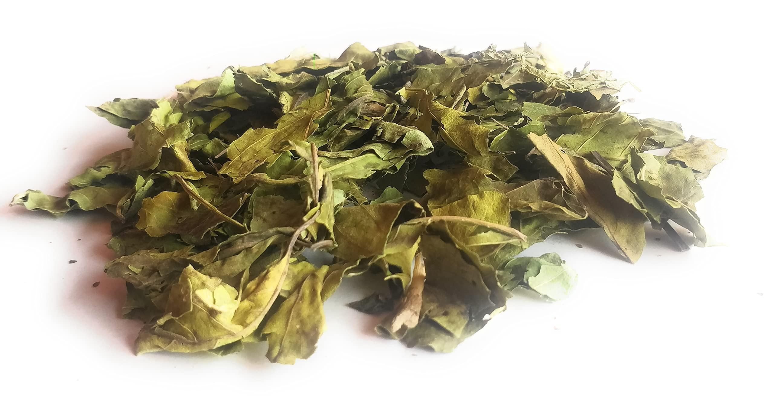 Ayushiv Ayushiv ADULSA LEAF (Justicia adhatoda) - Adusa - Adulsa- MALABAR NUT- VASA -ADHATODA VASICA - BANSA GREEN (200 GM)