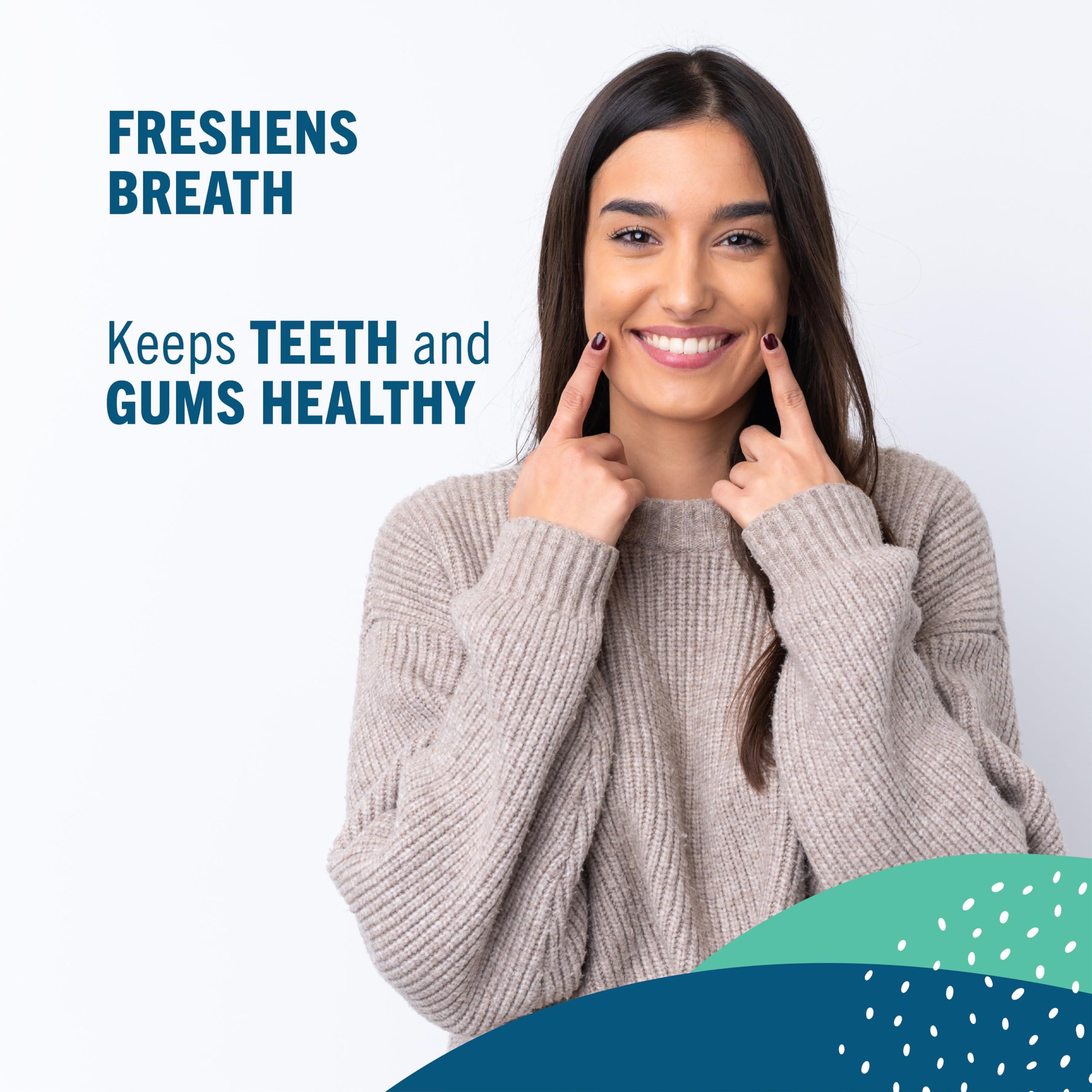 Preserve Preserve Flavored Toothpicks, Mint Tea Tree, 3 Count