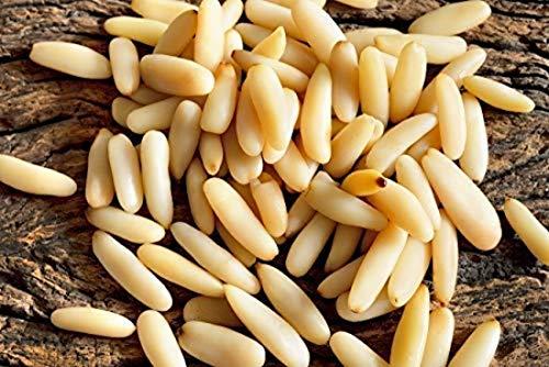 Prizex Prizex Pine Nuts | Lebanon Pine Nuts | Chilgoza 50gm