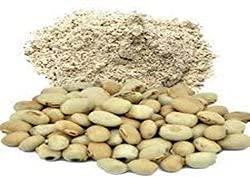 VS Products VS Products Poonaikali Seed (White) Powder, 700g, Mucuna Puriens, White Velvet Bean Powder, White Kaunch, Kapikachhu, White Dulagondi, Naikkuram Powder (Packof7X100g)