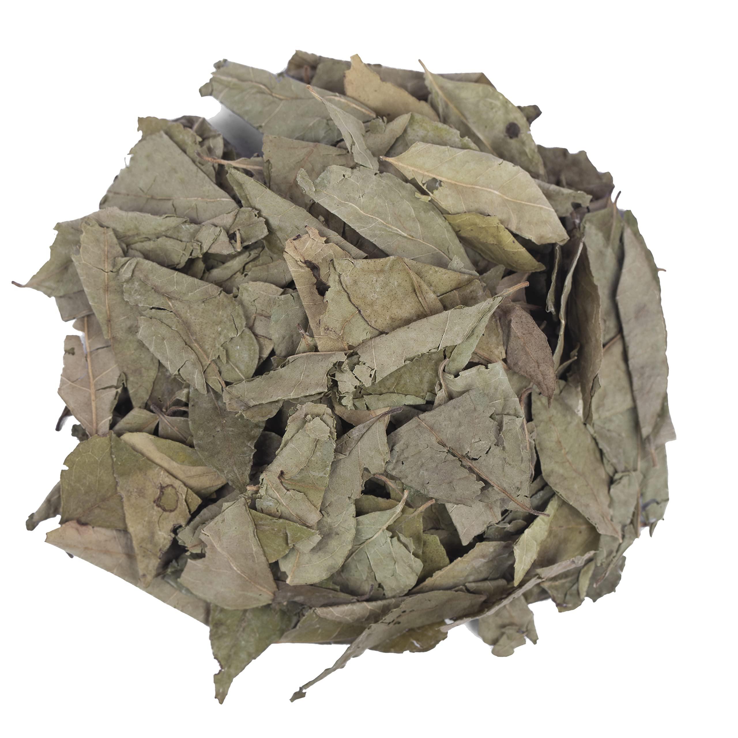 Yuvika Kadi Patta - Kari Patta - Meetha Neem - Curry Patta 100 Grams