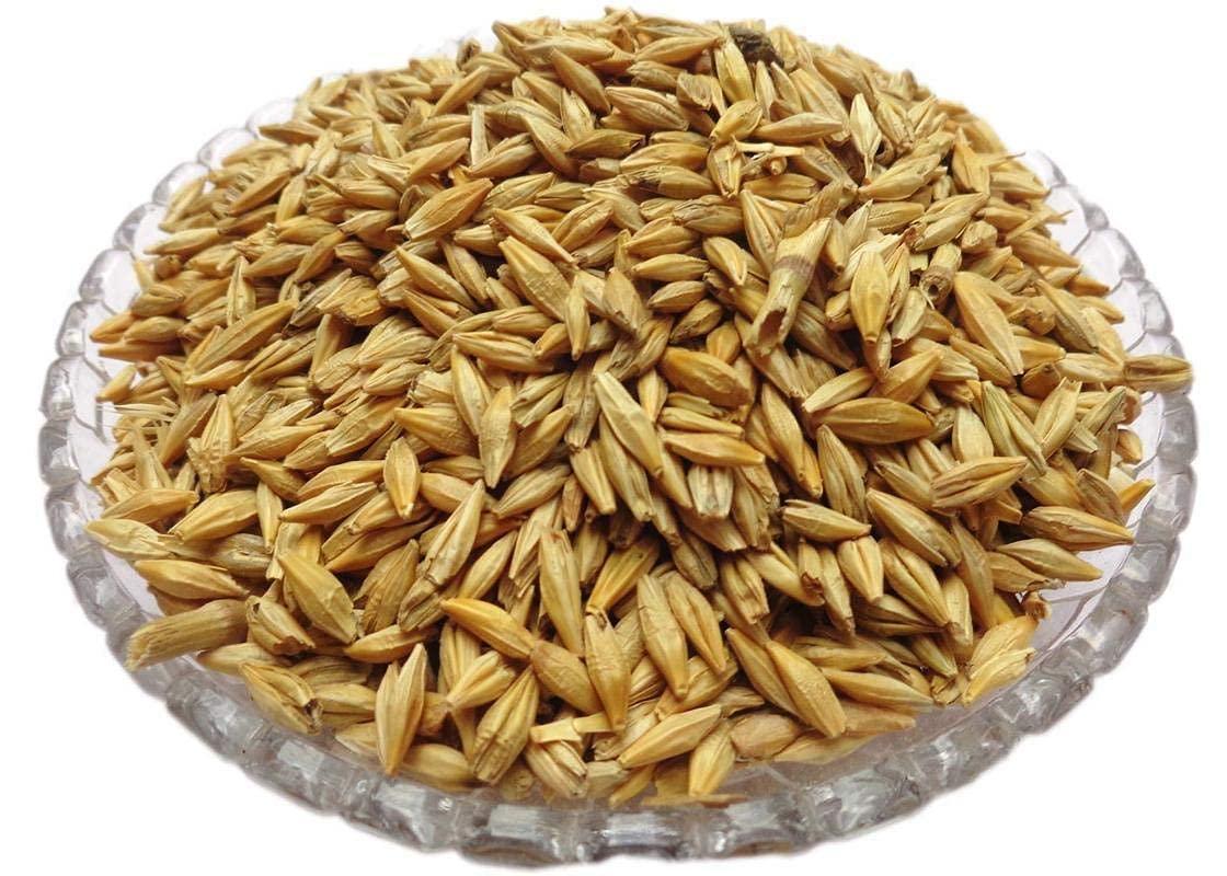 Nutri Hub Nutri Hub Jau | Raw Barley Seeds (900 g)