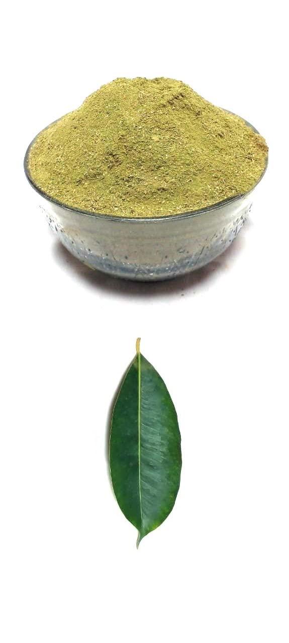 Li6 Li6 jamun leaves powder - 100 gram - Jamun Ke Patte, Patti, Patta ka Powder - Jamun Leaf Powder