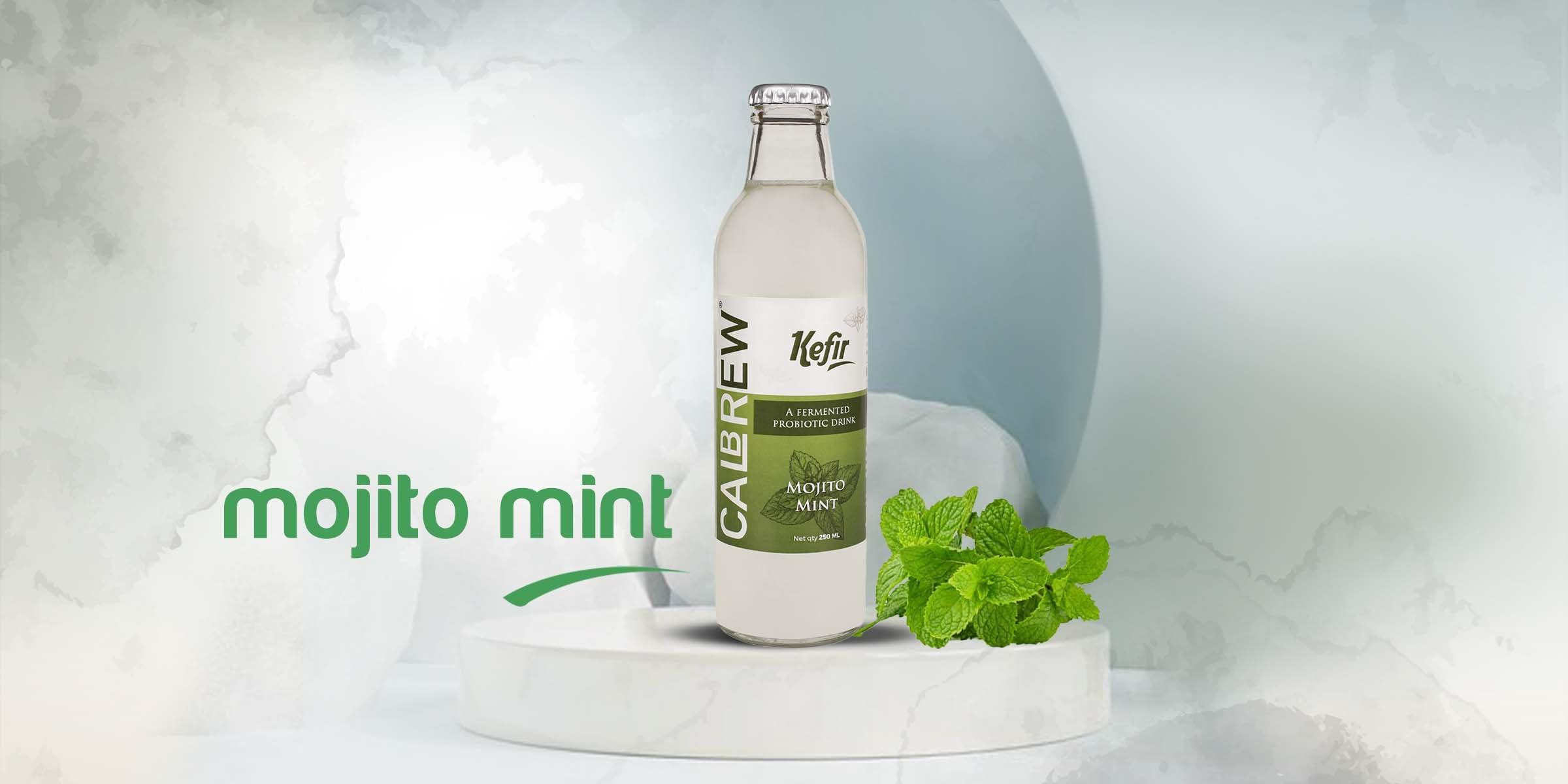 CALBREW CALBREW \"Kombucha + Kefir Combo Pack - Probiotic Rich Tea Fusion | Raw and Unfiltered | Gut-Friendly and Energizing\" |6-Pack Assorted Flavors ||250ml|