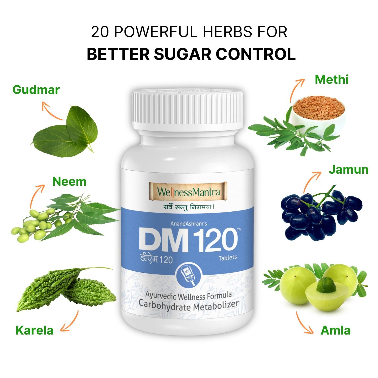 WellnessMantra Wellness Mantra DM 120 | Diabetic Care | Blood Sugar Control Ayurvedic Tablets | Helps to Protect From Long Term Complications of Diabetes | Gudmar, Jamun, Karela, Methi & 16 More Herbs (Pack of 2 - 120 Tablets)