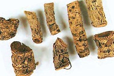 GUNMALA Herbal patharchatta - pashan bhed root churan bryophyllum pinnatum powder bergenia ligulata - for urinary calculi (100 gm.)