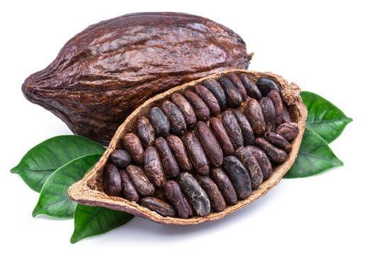 Generic Midday Cocoa Beans | fermented | Sun dried | Raw Cocoa Bean | from Kerala, 200 gm
