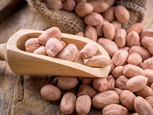 Chaklasiya Chaklasiya singdana Mungfali Dana 500gm