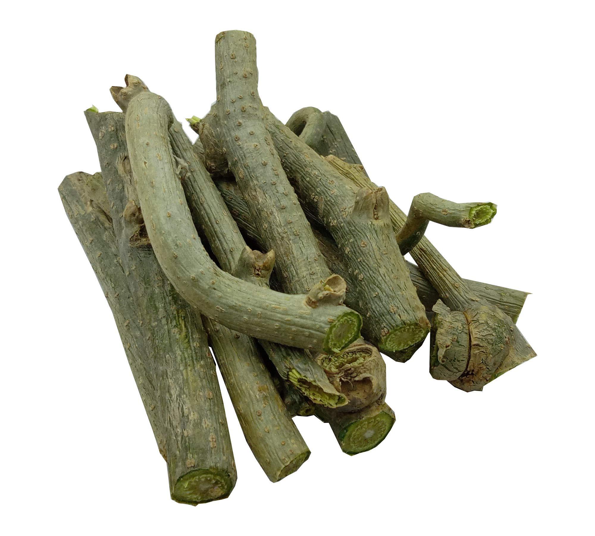 Generic Tinospora Cordifolia Ghanvati Giloy plant live 300Gm Giloy Sabut Guduchi Geeloh Amrita Guchcha Neem Giloy TM10