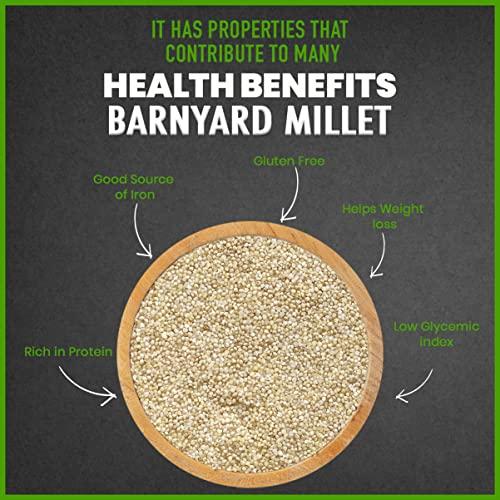 TruNaturals TruNaturals Unpolished Barnyard Millet 1.8Kg | Siridhanya Positive Millet Gluten-Free & Organic | Dr Khader Vali Millets | Sanwa | Jhangora | Kuthiravali | Odalu | Rich in Fibre & Proteins