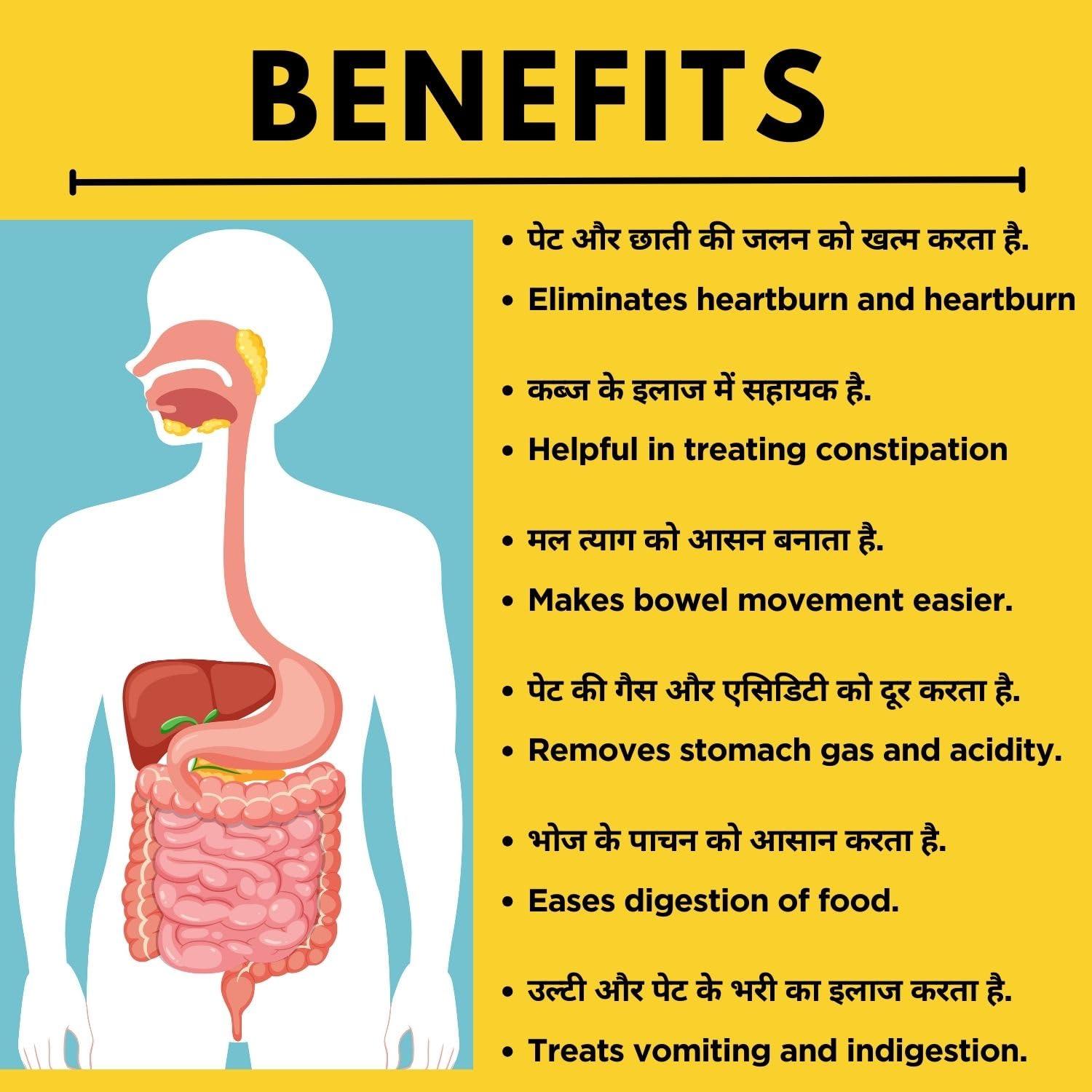 VEDIC ROOTS Vedic Roots Anatacid Gas Acidity Bloating Relief Syrup - 500 ML|Ayurvedic Digestive Appetizer Improves Digestion|Stomach Colon Gut Cleanser Syrup