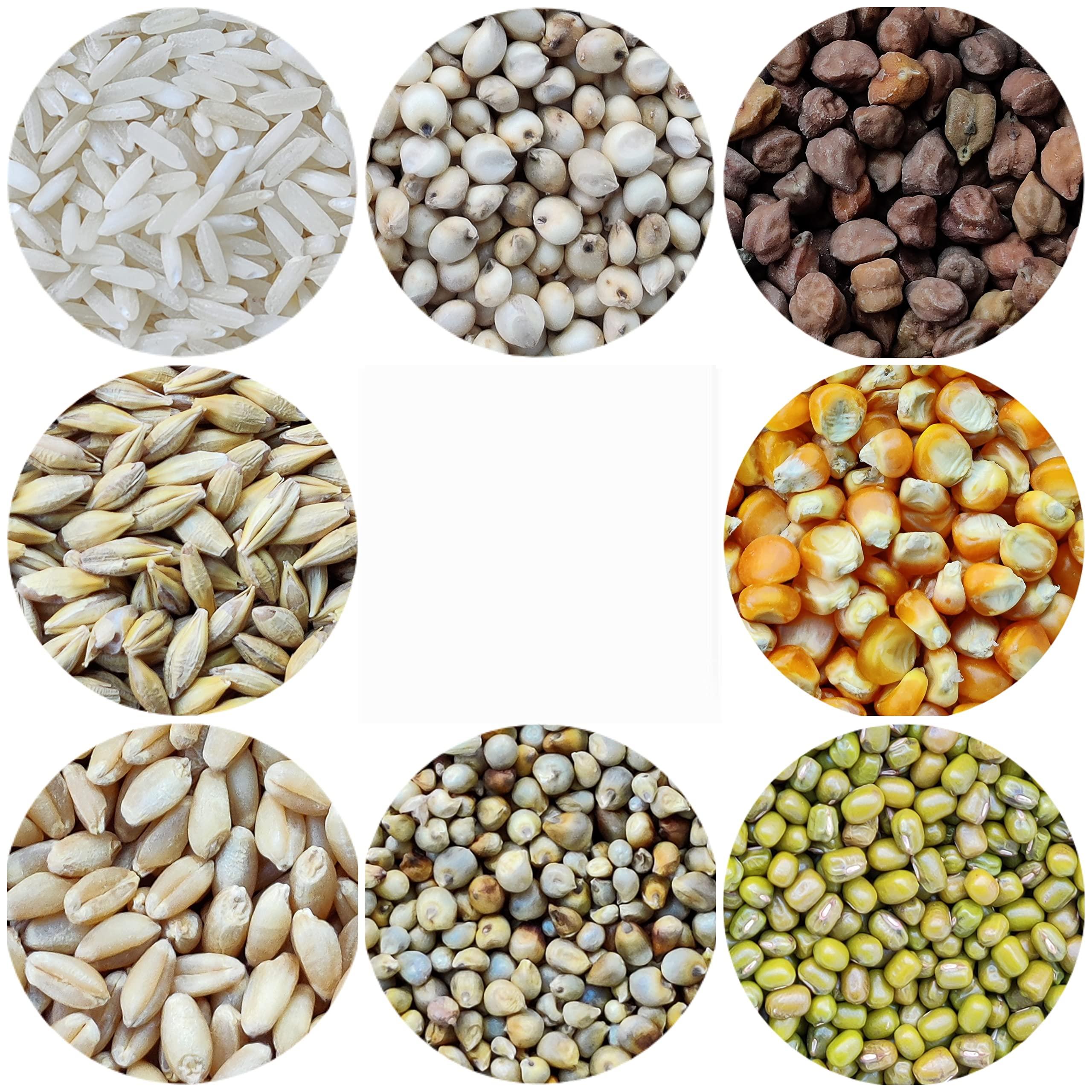 Kitchen Jungle Kitchen Jungle Seven Assorted Grains | 7 Dhan | Dhaan | sapt dhany for Pooja (  / 7 ) (10 Grams Each)