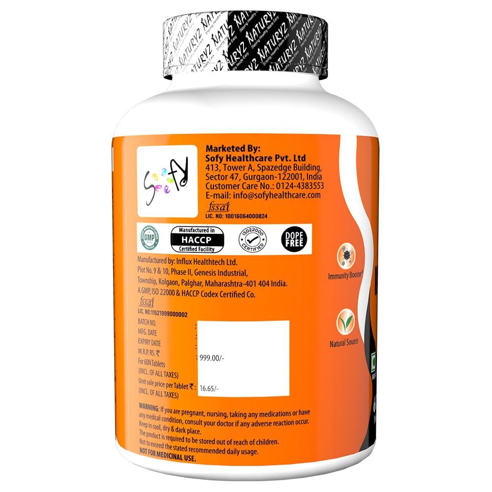 Naturyz Naturyz Double Strength Natural Vitamin C & Zinc Supplement with Amla, Acerola Cherry, Citrus Bioflavonoids rich in Antioxidants for Immunity Support & Skincare pack of 2 (120 Vegetarian tablets)