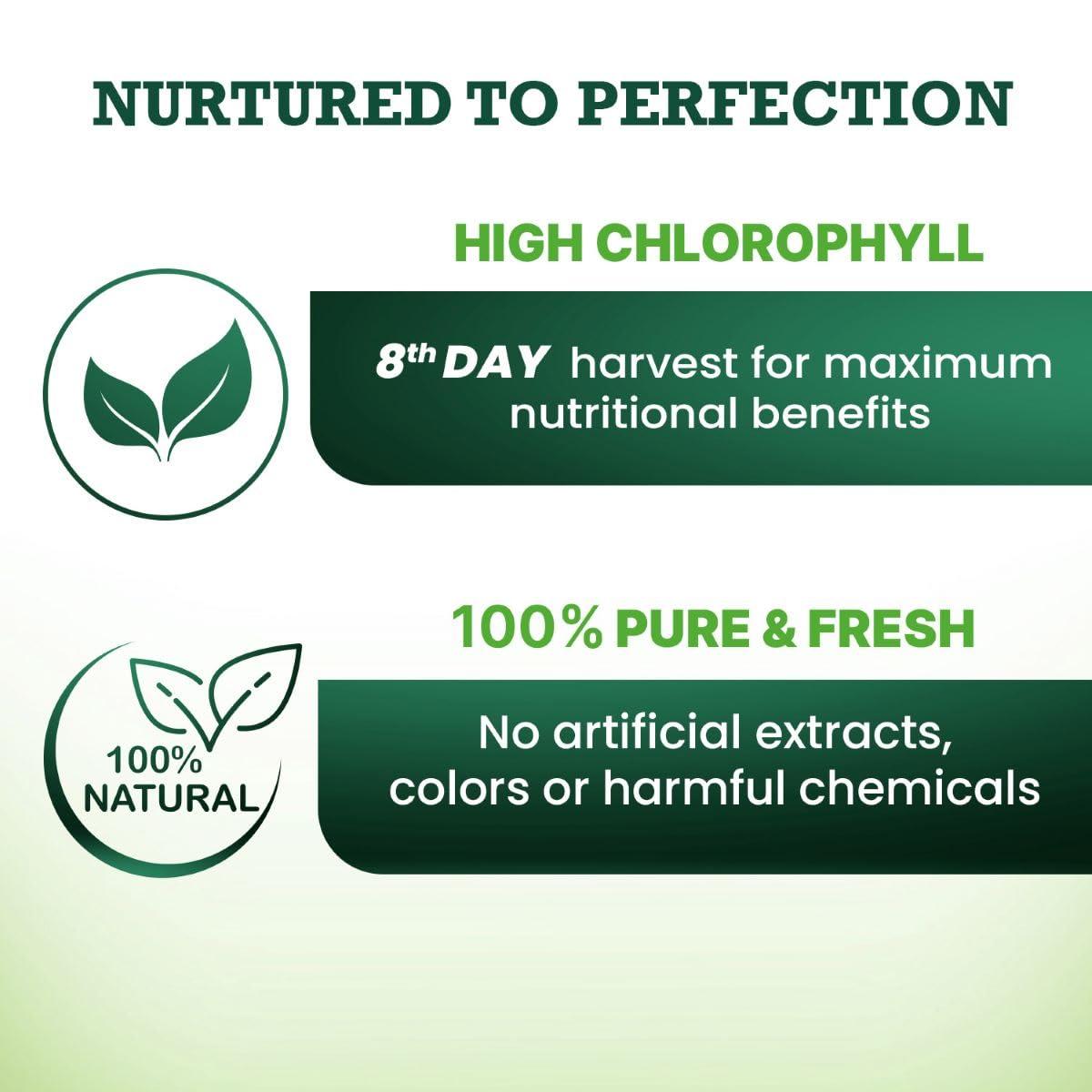 VANSAAR Vansaar Wheatgrass Juice | Natural Liver detox & Gut cleanser Juice | Superfood for Weight & Cholesterol management | 100% Ayurvedic - 500 ml (Pack of 2)