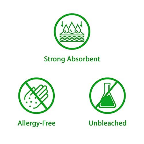 PASEO Paseo Smart International Quality 2 Ply Extra Soft 19.5 x 20 cm Facial Tissue Paper 100 Pulls Pack Of 10