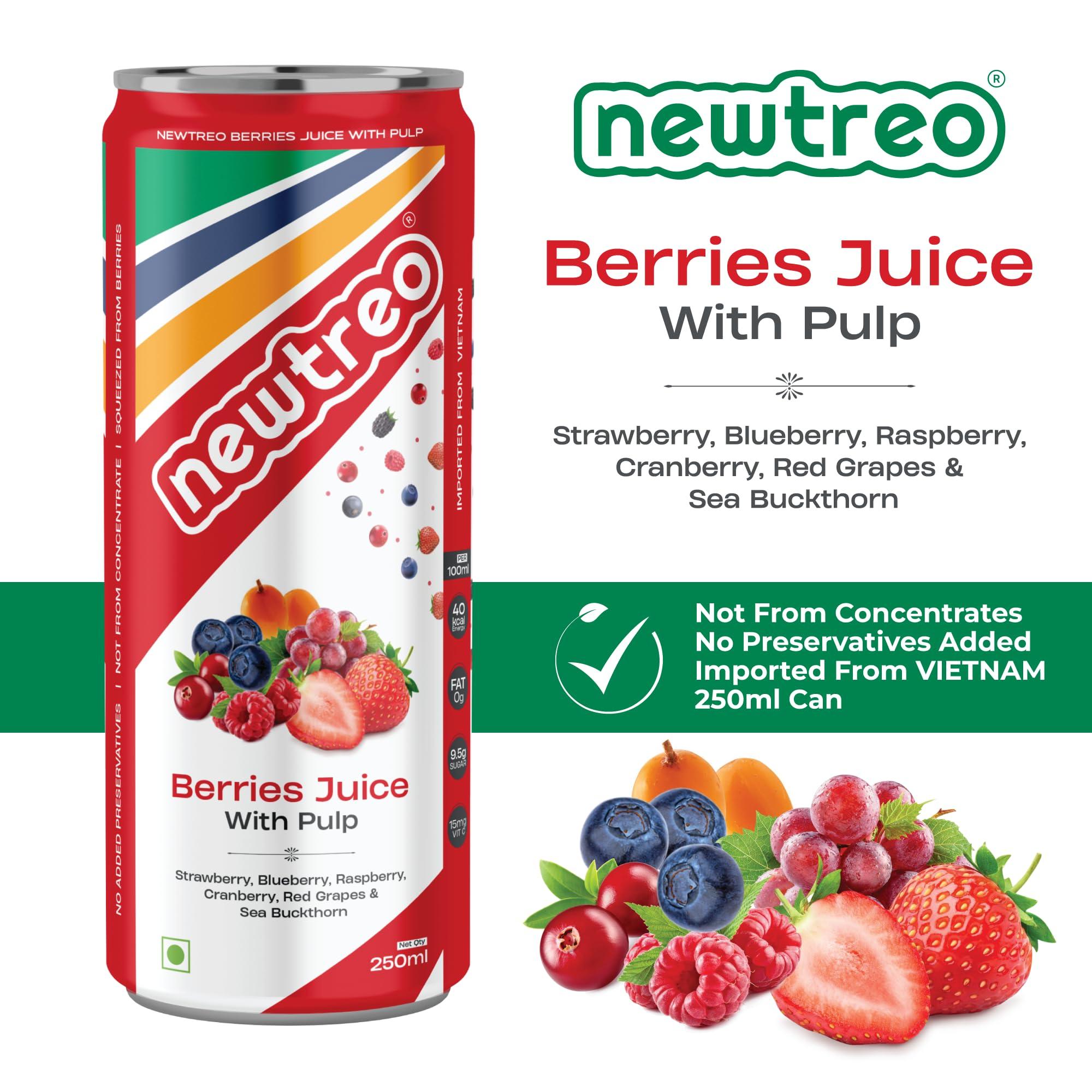 Newtreo Newtreo Berries Juice With Pulp | Imported from Vietnam | Strawberry, Blueberry, Raspberry, Cranberry, Red Grapes & Sea Buckthorn Juice | 12 x 250ml cans | No concentrates or preservatives added