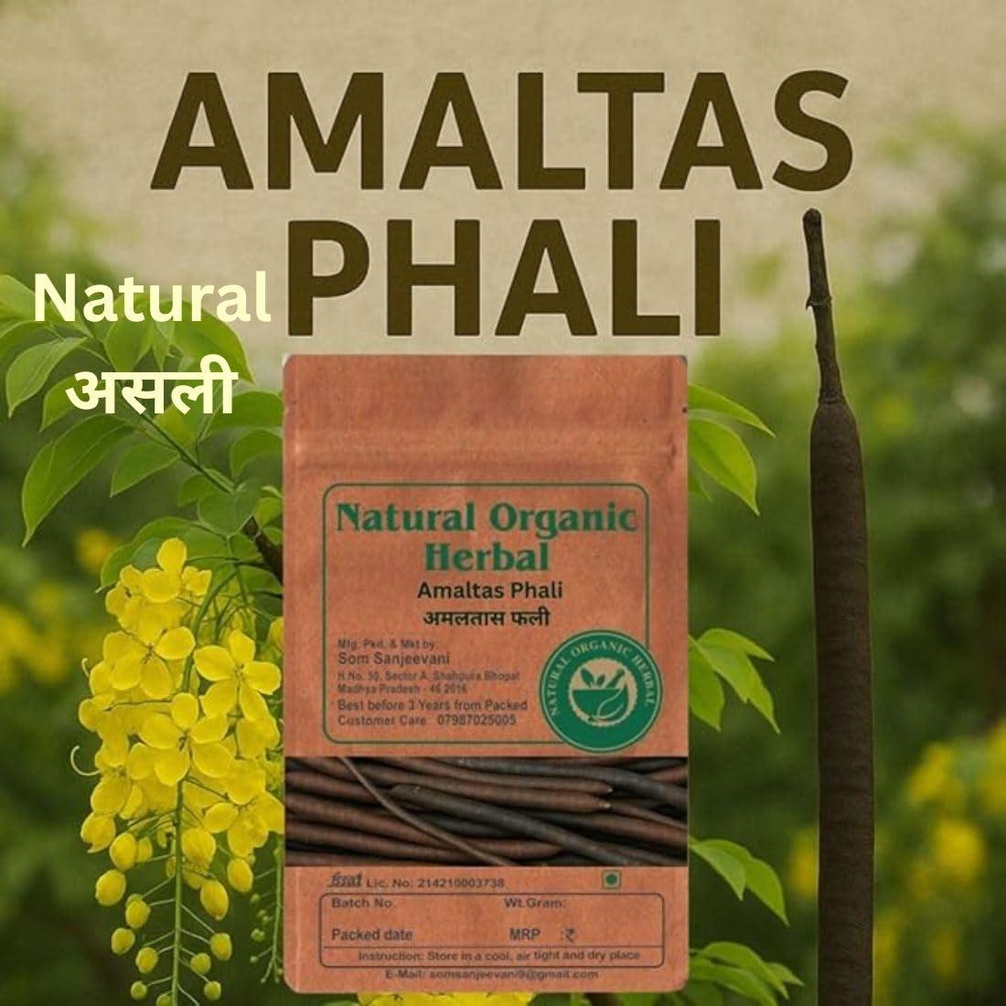 NATURAL ORGANIC HERBAL NATURAL ORGANIC HERBAL Amaltas Phali -fali Amaltas - Cassia Fistula -100g-Pure - No Mixing