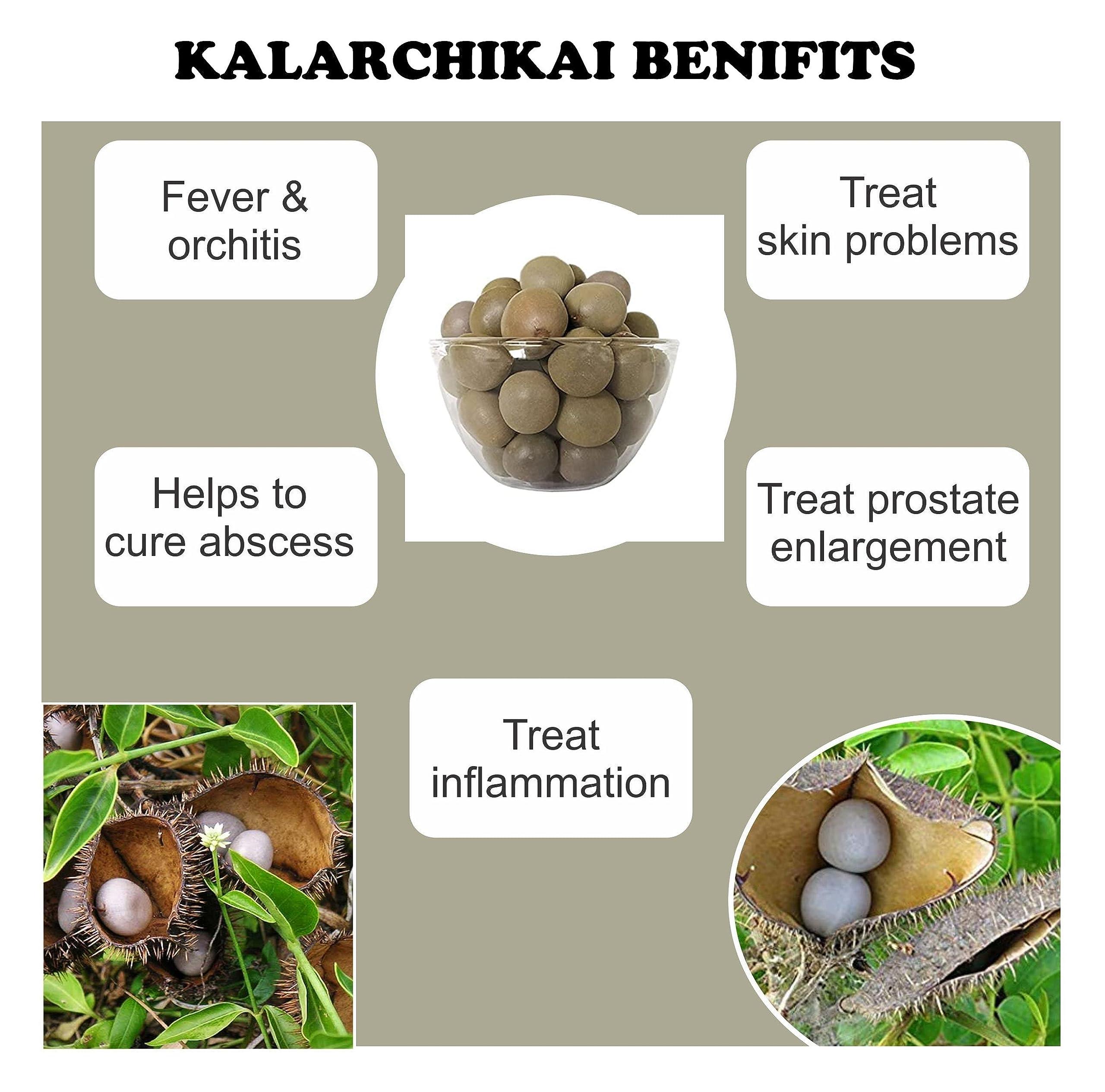 3V PRODUCTS 3V PRODUCTS Kalarchikai Powder - Pack of 2x100g - Fever Nut | Caesalpinia Bonducella | Kantkarej