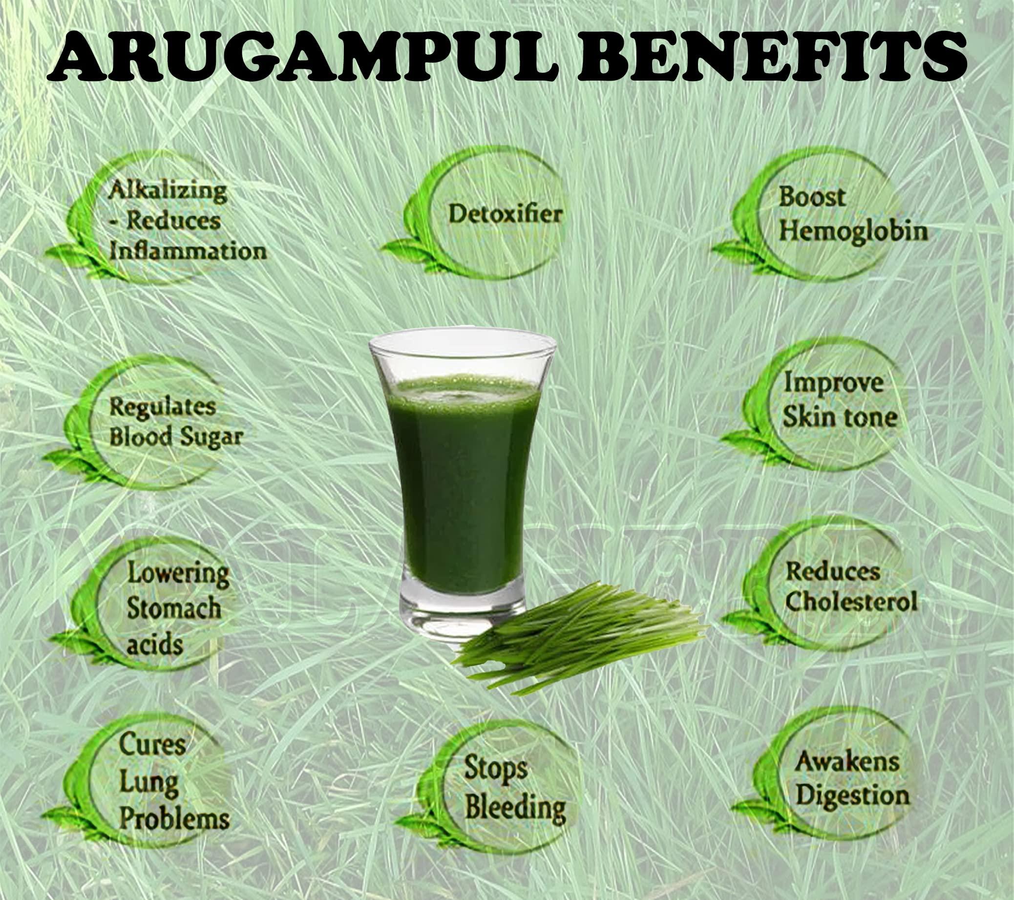 MALA FOODS MALA : Arugampul powder -200 gms | Bermuda powder | Cynodon dactylon powder | Doob Grass Powder - 200 G