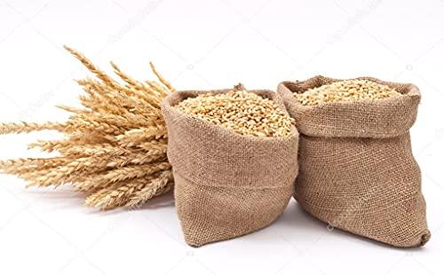 Awadh Organic Whole Wheat Gehu,Wheat Whole Premium 20KGS BAG (Sabut Gehu/Gehoo/Genhu) Godhumai Godhambu Godhumalu Godhi Gehun Gom Ghau GovaGahu Gahama