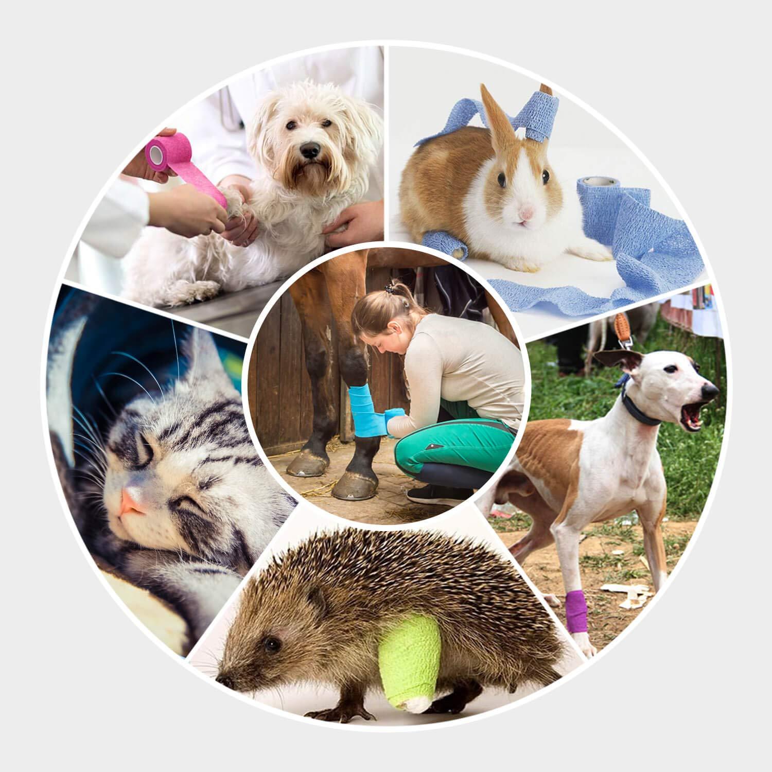 WePet WePet Vet Wrap, Vet Tape Bulk Self-Adherent Gauze Rolls Non-Woven Cohesive Bandage First Aid for Dogs Cats Horses Birds Animals Strong Sports Tape 4 Inch x 3 Rolls (2 Purple, 1 Green)