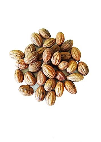 NIRAMAY ORGANICS Niramay Organics Ink Nut- Harad badi yellow- Ink Nut for dark circles- Haritaki- Kadukkai- Aralu- Terminalia Chebula (250 Grams)