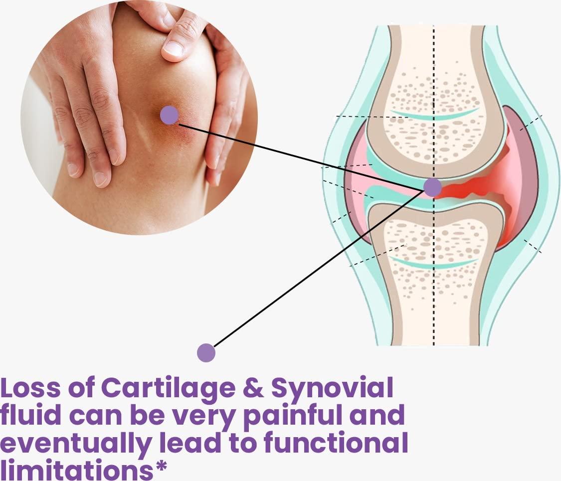 The JOINTS Co The Joints Co Ultra Ease with Type II Collagen, Bones & Joint Support Supplement Glucosamine Chondroitin MSM HA Complex & Herbal Blend for Joints, Bones & Cartilage Wellness - 90 Tablet (Pack Of 1)