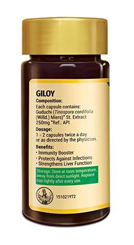 Zandu Zandu Giloy Capsules (Guduchi) 120 Veg Capsules, Natural Giloy Extract, Antioxidant Properties, Immunity Booster, Health and Wellness with 2X Immunity (Pack of 60 caps x 2)