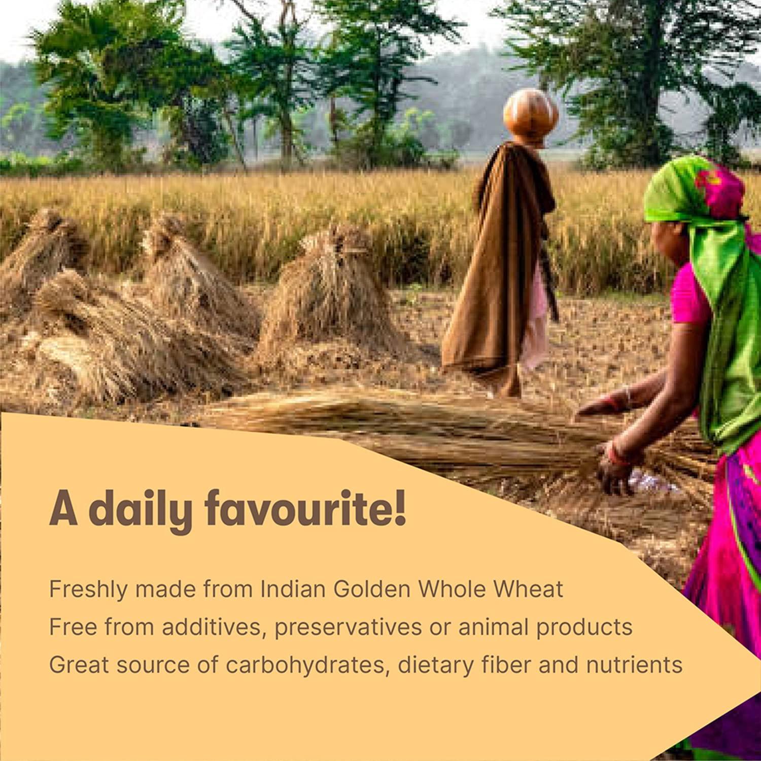 Whitty Whitty -Crisps Khakhra ready to Eat Indian Snacks (Combo Pack) (Cheese, Pack of 2)