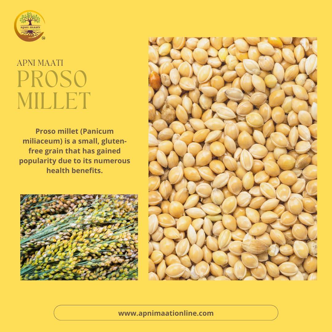 Apni Maati Apni Maati Proso Millet Seed for Sowing (1000 gm; Chena/Panivaragu/Varigulu/Baragu/Barri)