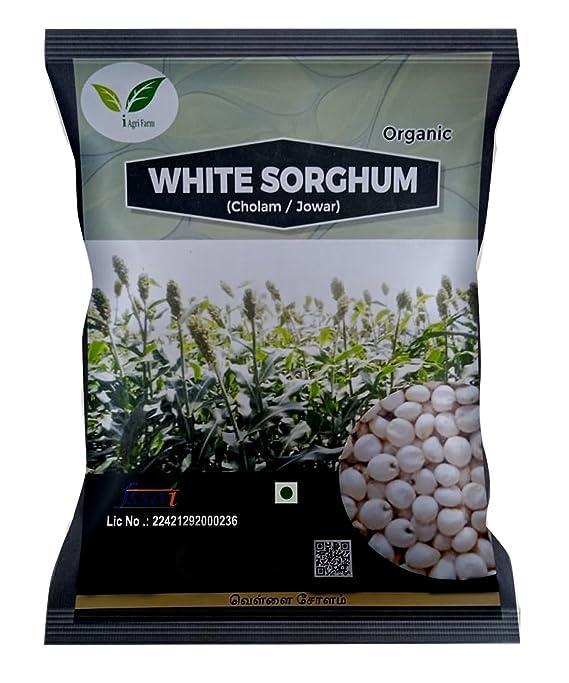 IAgriFarm Iagrifarm White Sorghum - 1 kg - Whole Grain/Cholam | Vella solam | Jowar | Jola | Jonna - High Protein & 100% More Fibre Than Rice